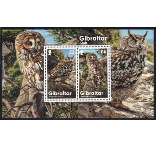 GIBRALTAR, Owls M/S 2020 ''