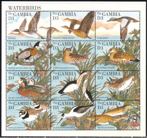 GAMBIA, Waterbirds 1995 **