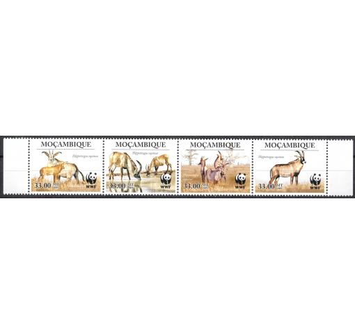 MOZAMBIQUE, Antilopes/WWF 2009 **