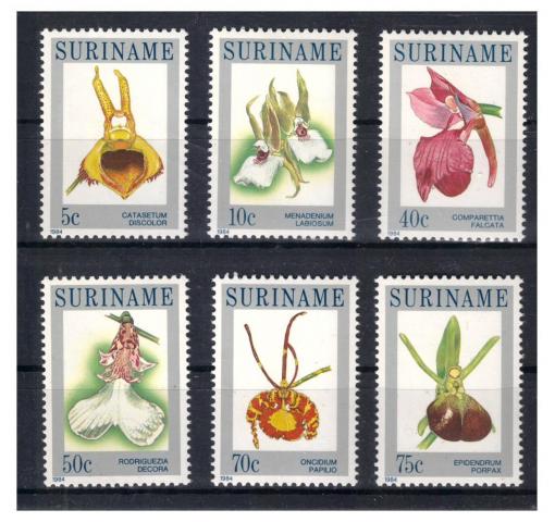 SURINAME, Orchids 1984